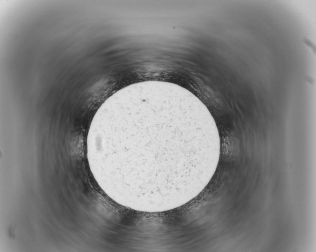 X0000095890820200801251200