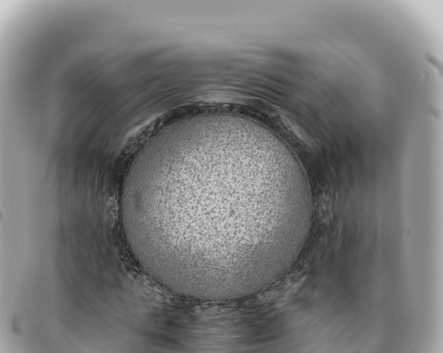 X0000095890821200801251200