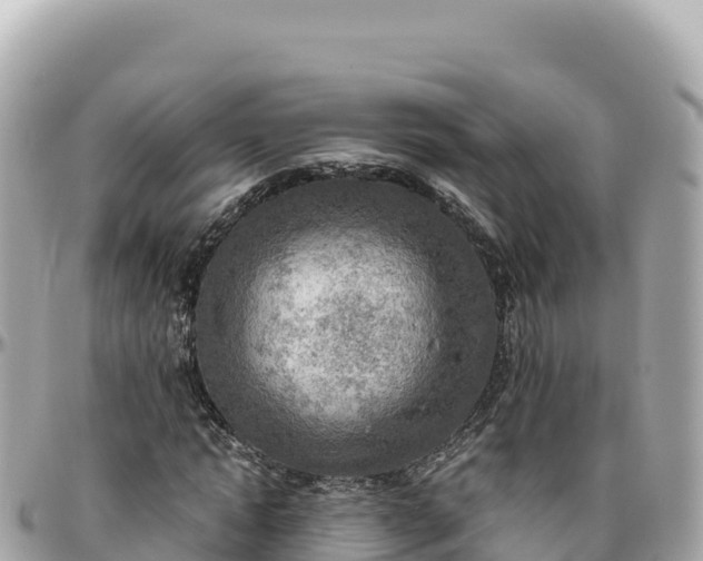 X0000095890822200801251200