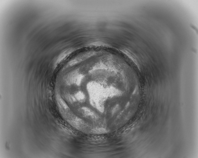 X0000095890823200801251200