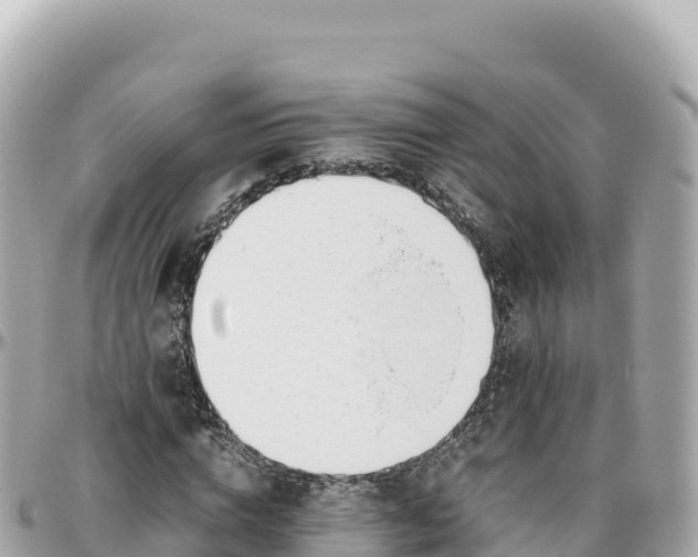 X0000095890824200801251200