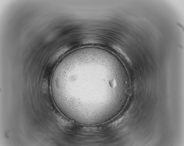 X0000095890825200801251200