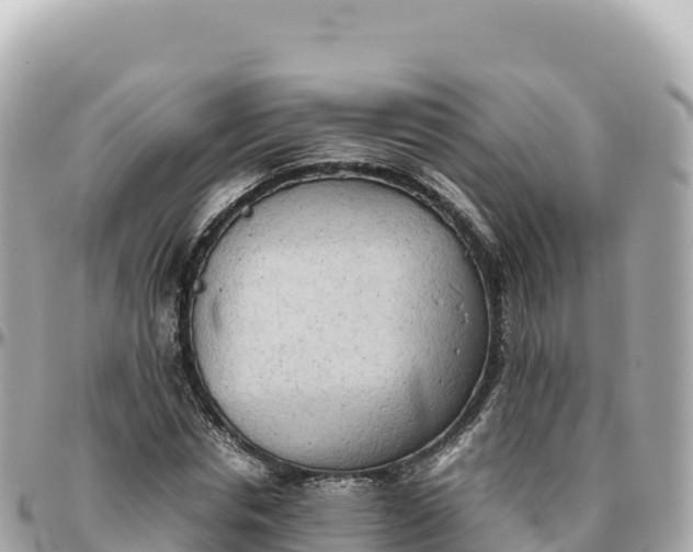 X0000095890826200801251200