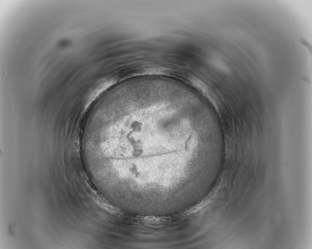 X0000095890827200801251200