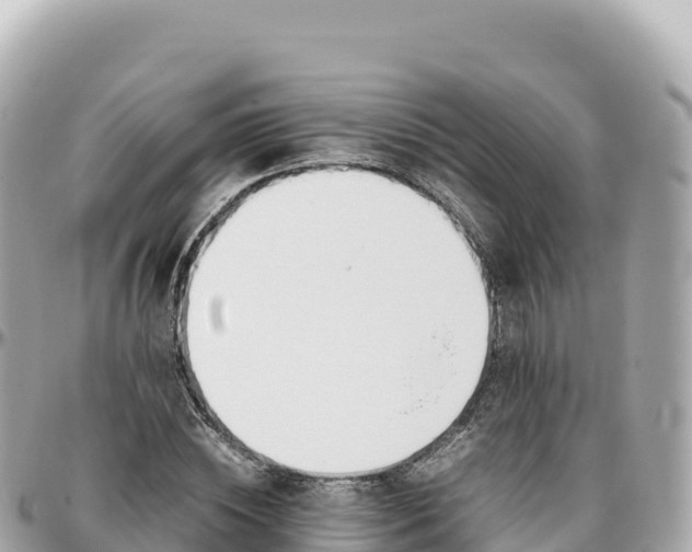 X0000095890828200801251200