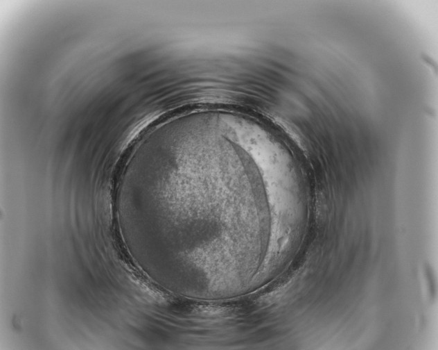 X0000095890829200801251200