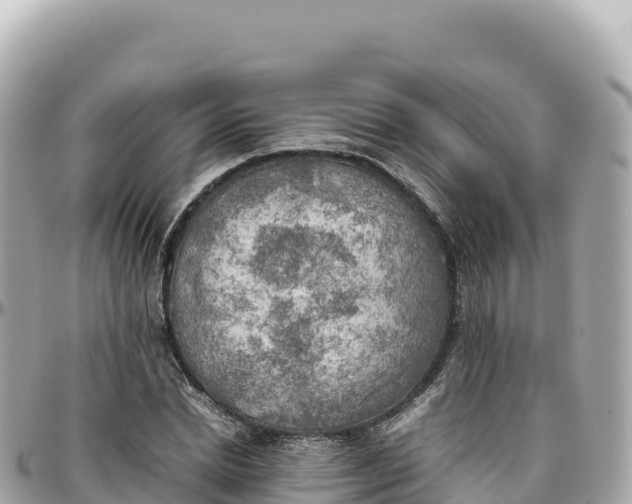 X0000095890830200801251200