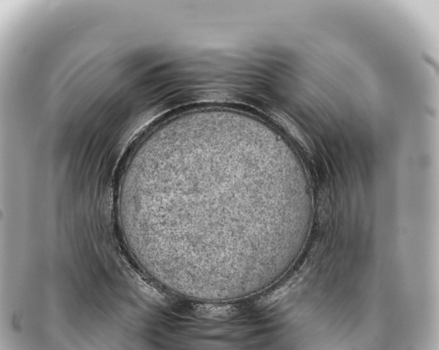 X0000095890831200801251200