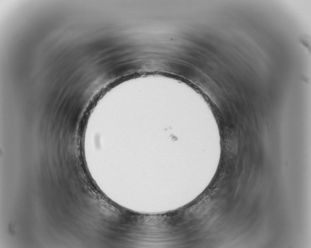 X0000095890832200801251200