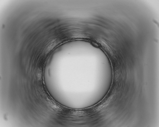 X0000095890833200801251200