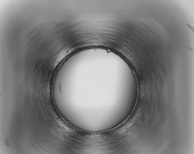 X0000095890834200801251200