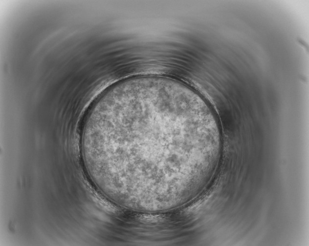 X0000095890835200801251200