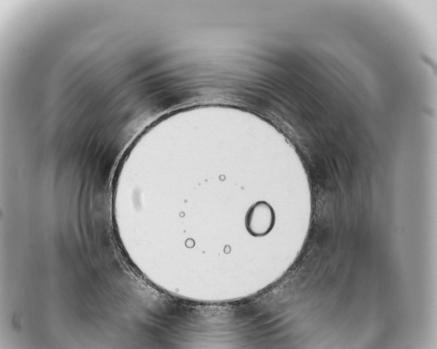 X0000095890836200801251200