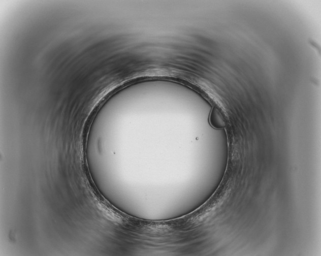 X0000095890837200801251200