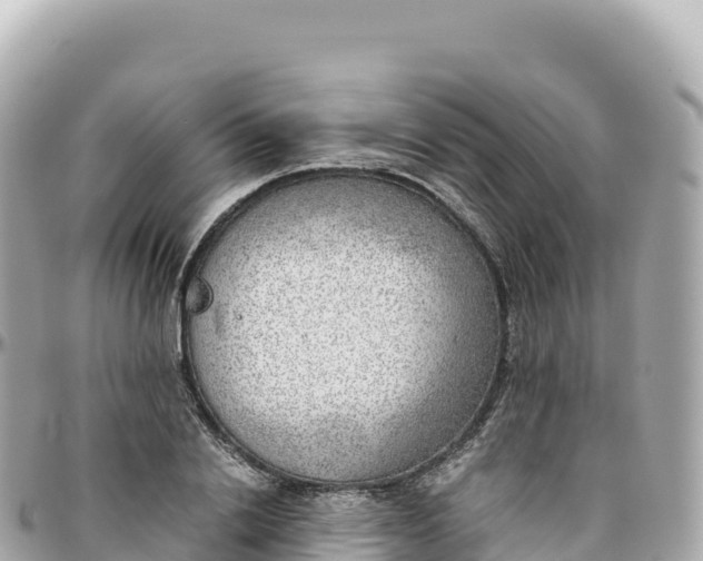 X0000095890838200801251200