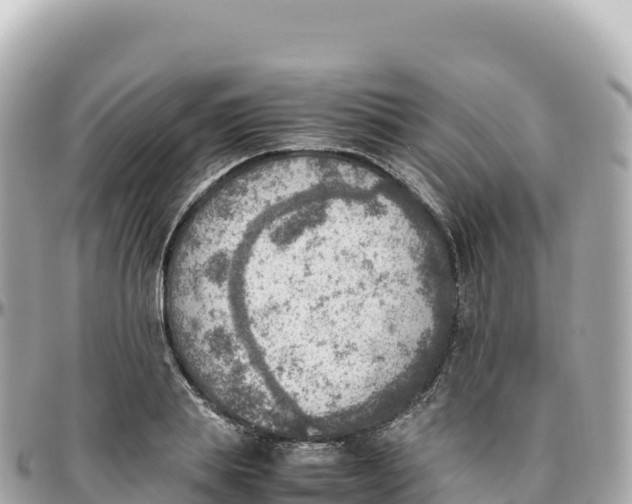 X0000095890839200801251200