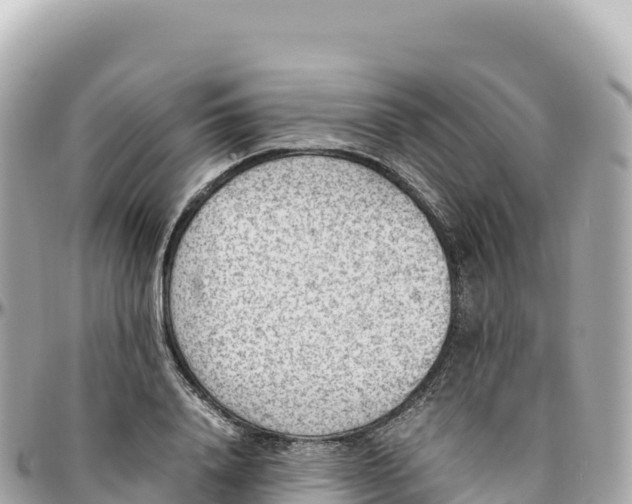 X0000095890840200801251200