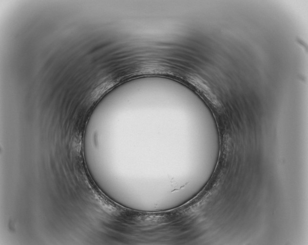 X0000095890841200801251200