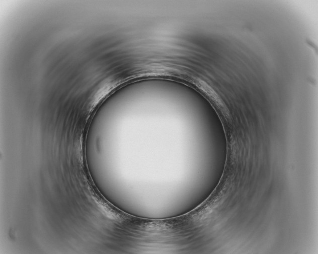 X0000095890842200801251200