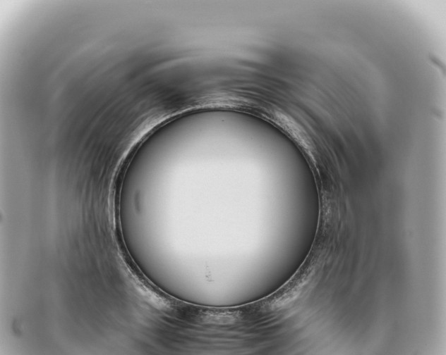 X0000095890843200801251200