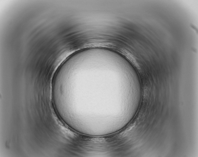 X0000095890844200801251200