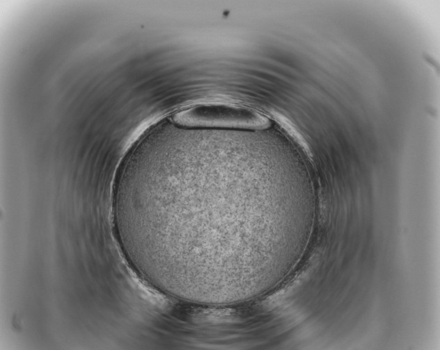 X0000095890845200801251200