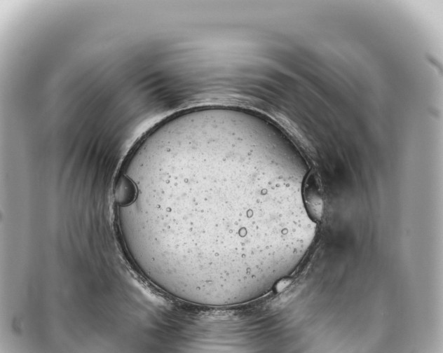 X0000095890846200801251200