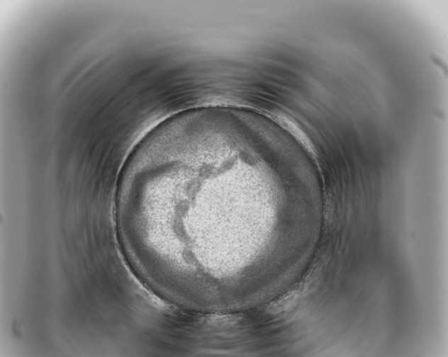 X0000095890847200801251200