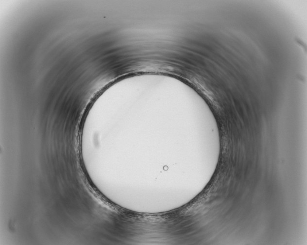 X0000095890848200801251200