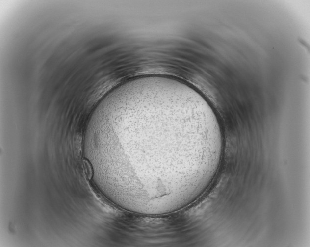 X0000095890849200801251200