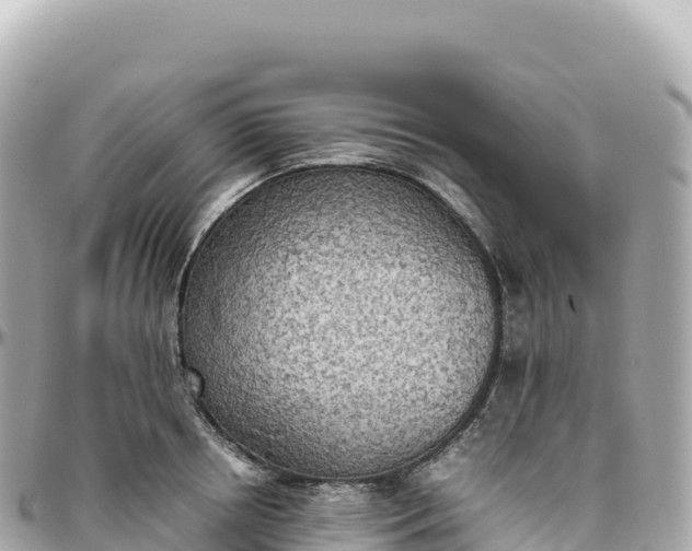 X0000095890850200801251200