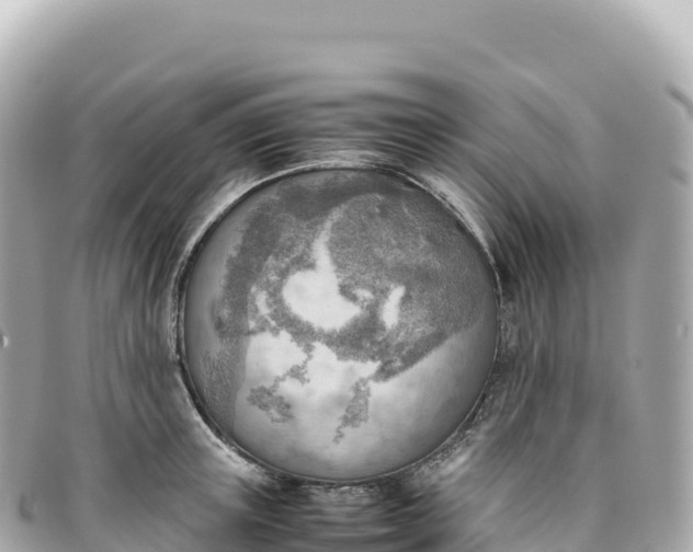 X0000095890851200801251200