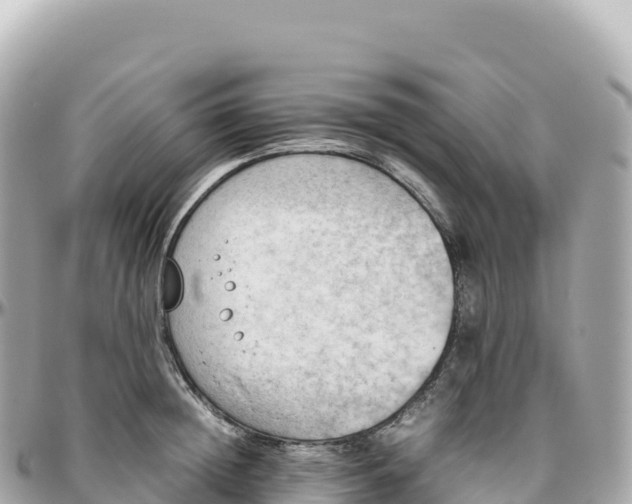 X0000095890852200801251200