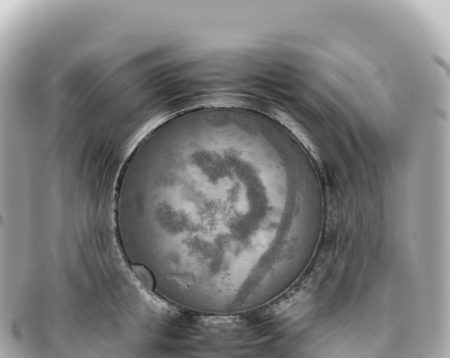 X0000095890853200801251200