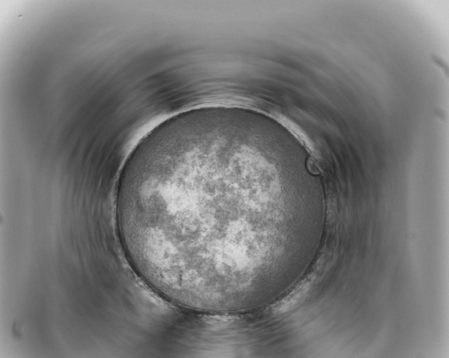 X0000095890854200801251200