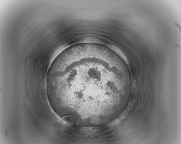 X0000095890855200801251200