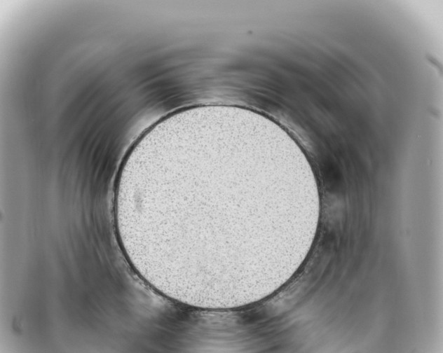 X0000095890856200801251200