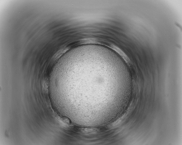 X0000095890857200801251200