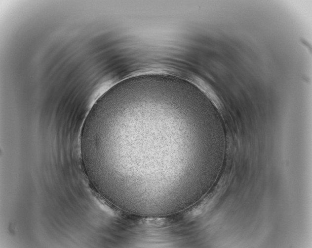 X0000095890858200801251200