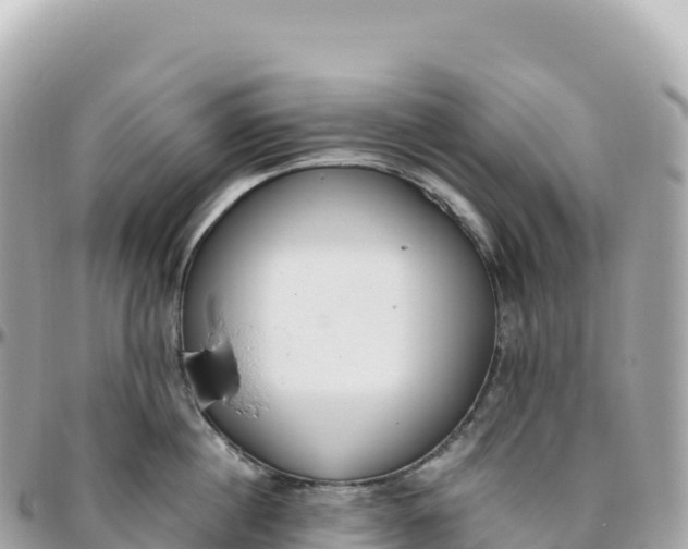 X0000095890860200801251201