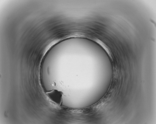 X0000095890861200801251201