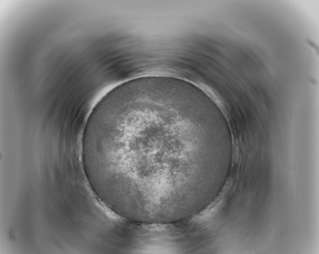 X0000095890862200801251201