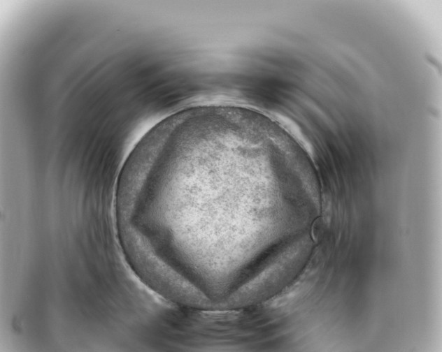 X0000095890863200801251201