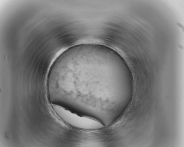 X0000095890864200801251201