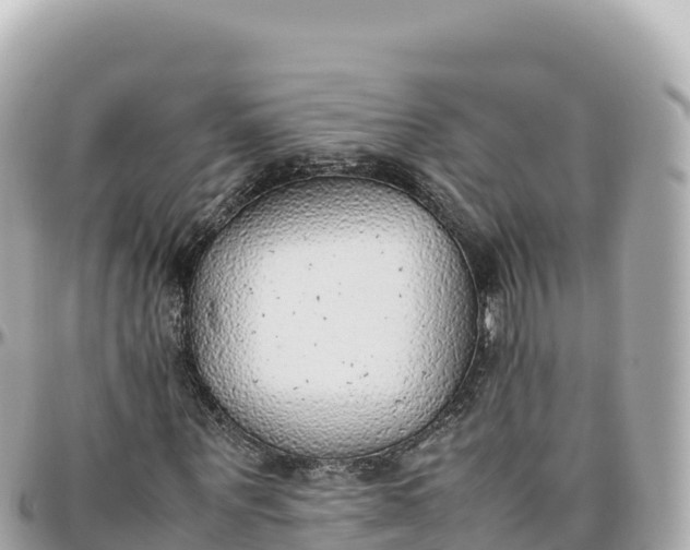 X0000095890867200801251200