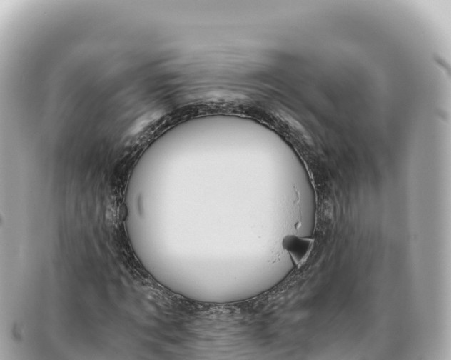 X0000095890869200801251200