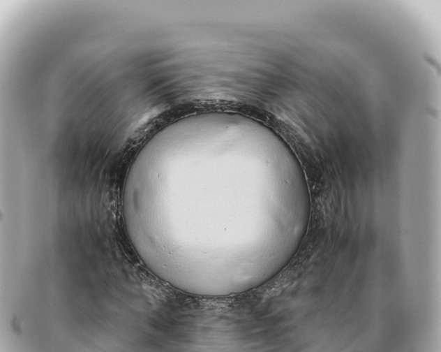 X0000095890870200801251200