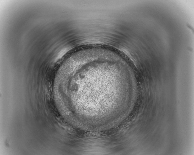 X0000095890871200801251200