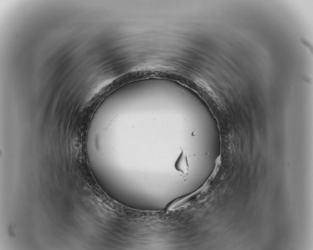 X0000095890872200801251200