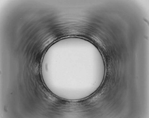 X0000095890873200801251200